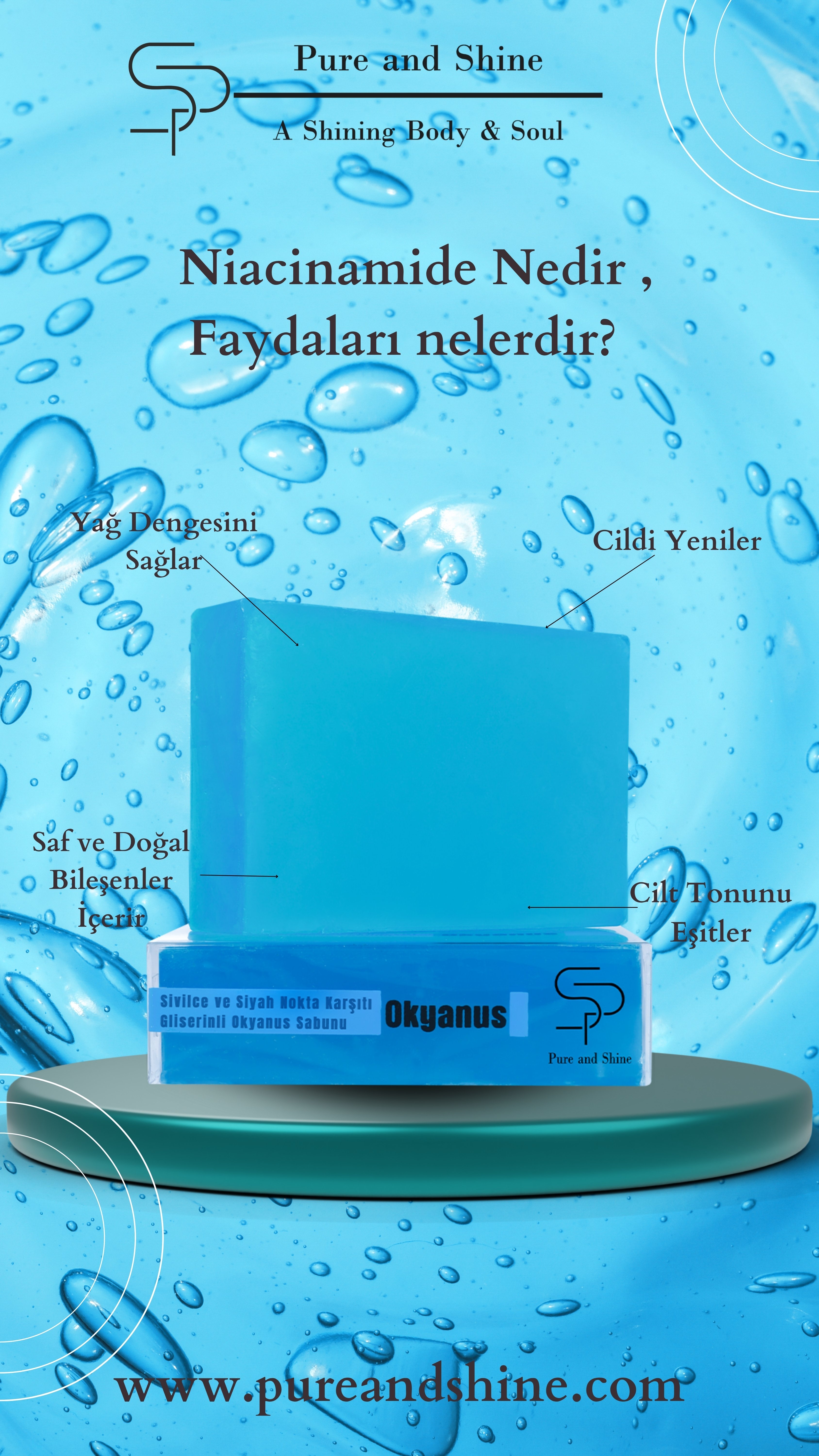 Siyahnokta ve Sivilve Karşıtı Okyanus Sabunu